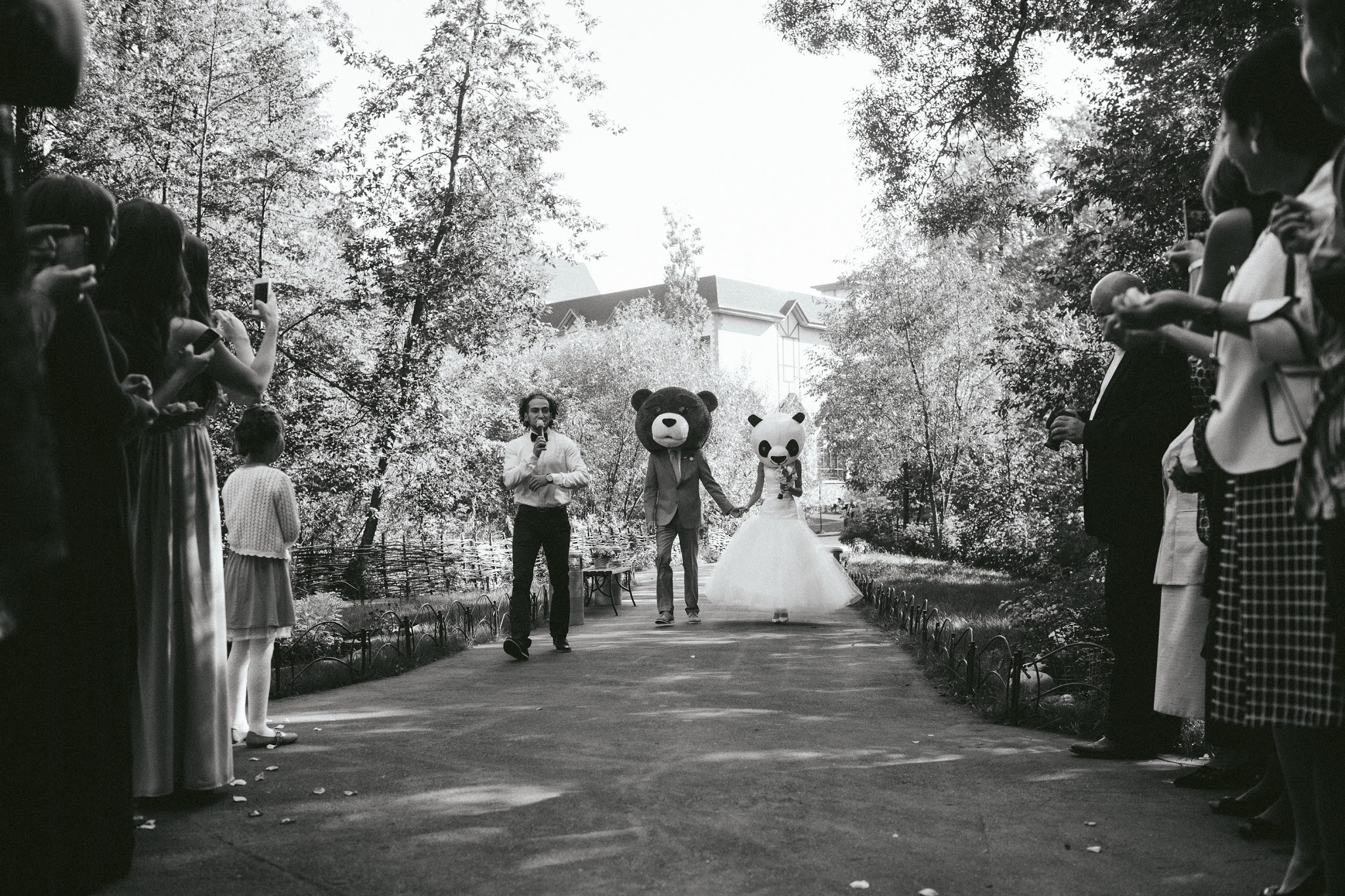 Свадьба Медвежонка Теда